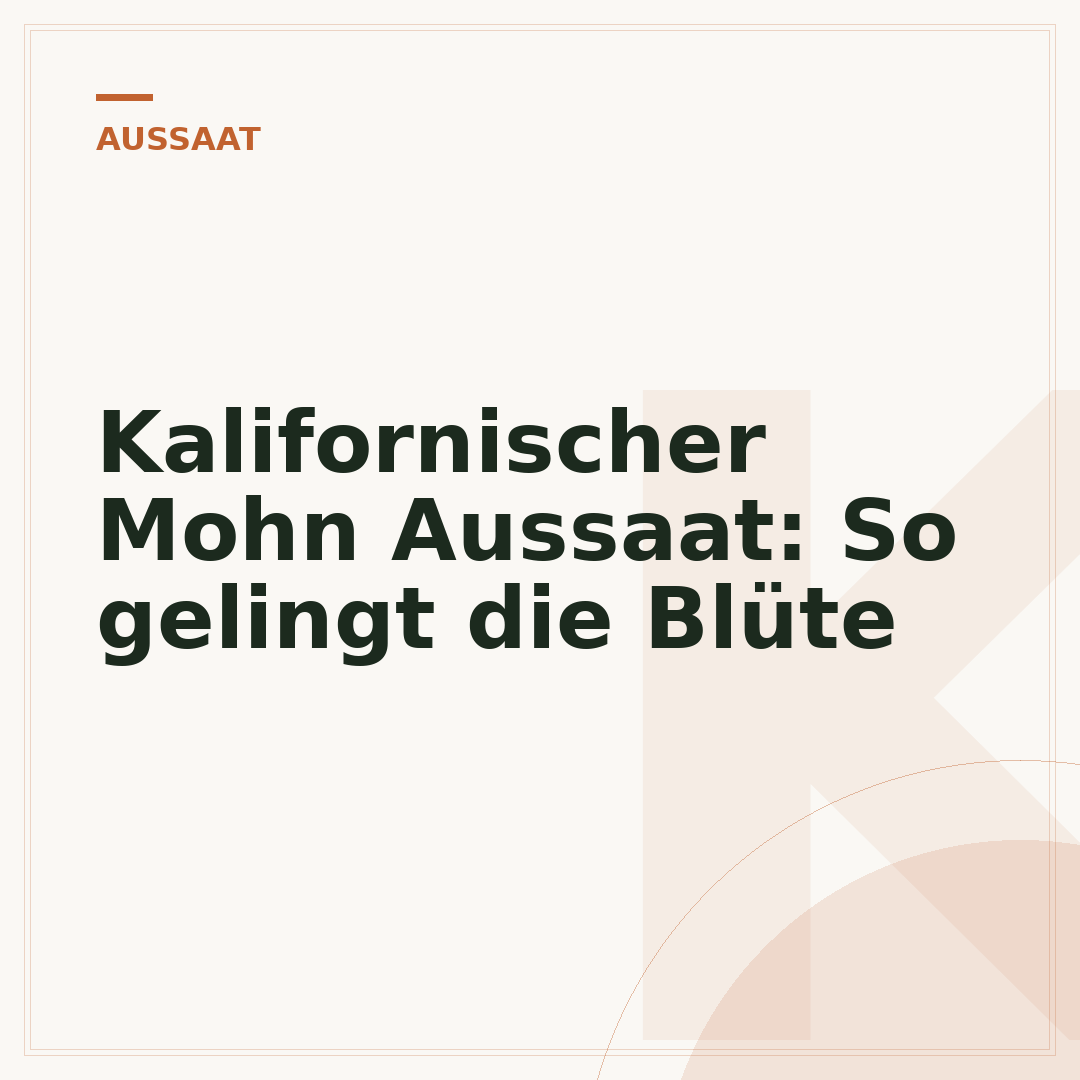 Kalifornischer Mohn Aussaat: So gelingt die Blüte