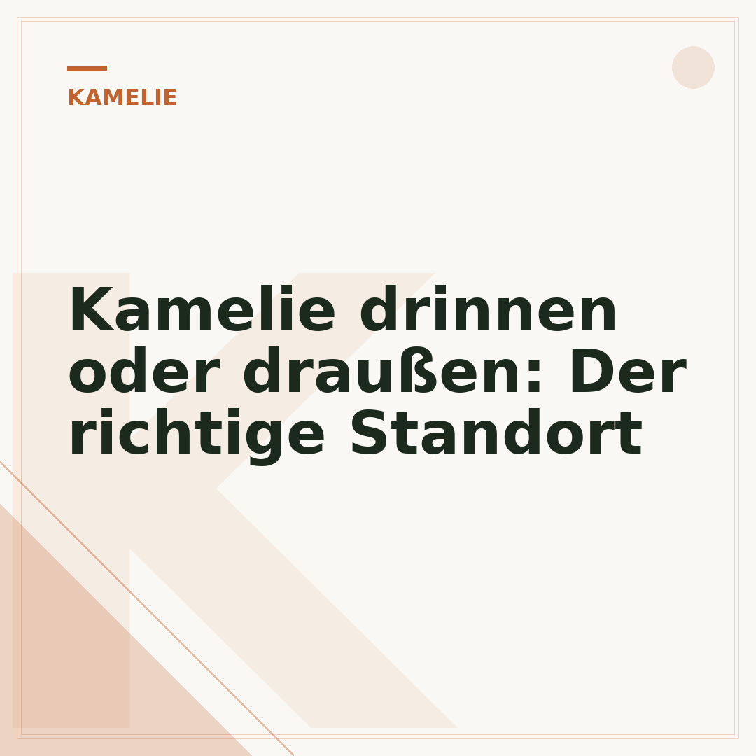 Kamelie drinnen oder draußen: Der richtige Standort