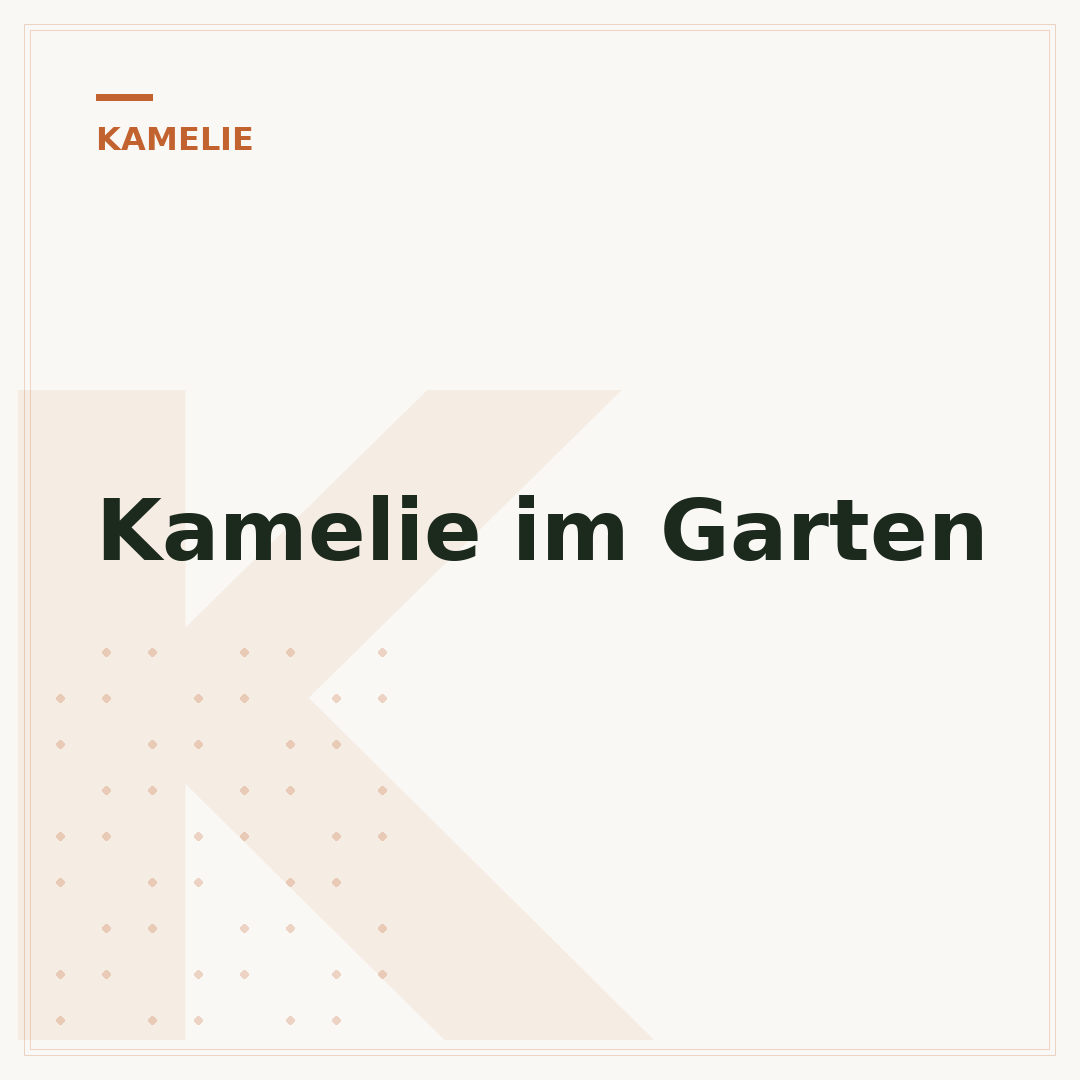 Kamelie im Garten
