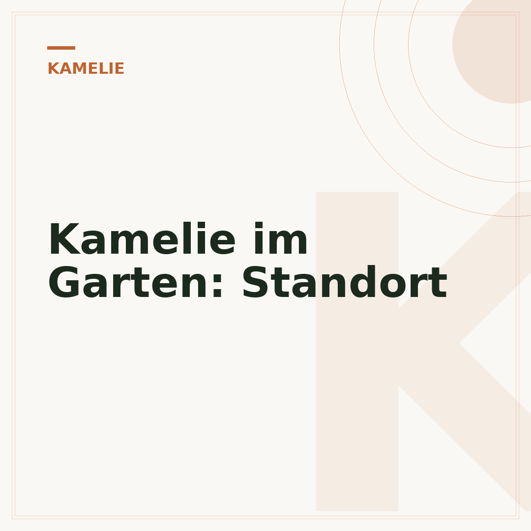 Kamelie im Garten: Standort