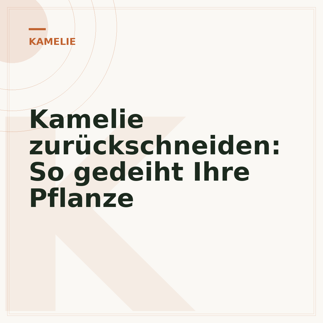 Kamelie zurückschneiden: So gedeiht Ihre Pflanze