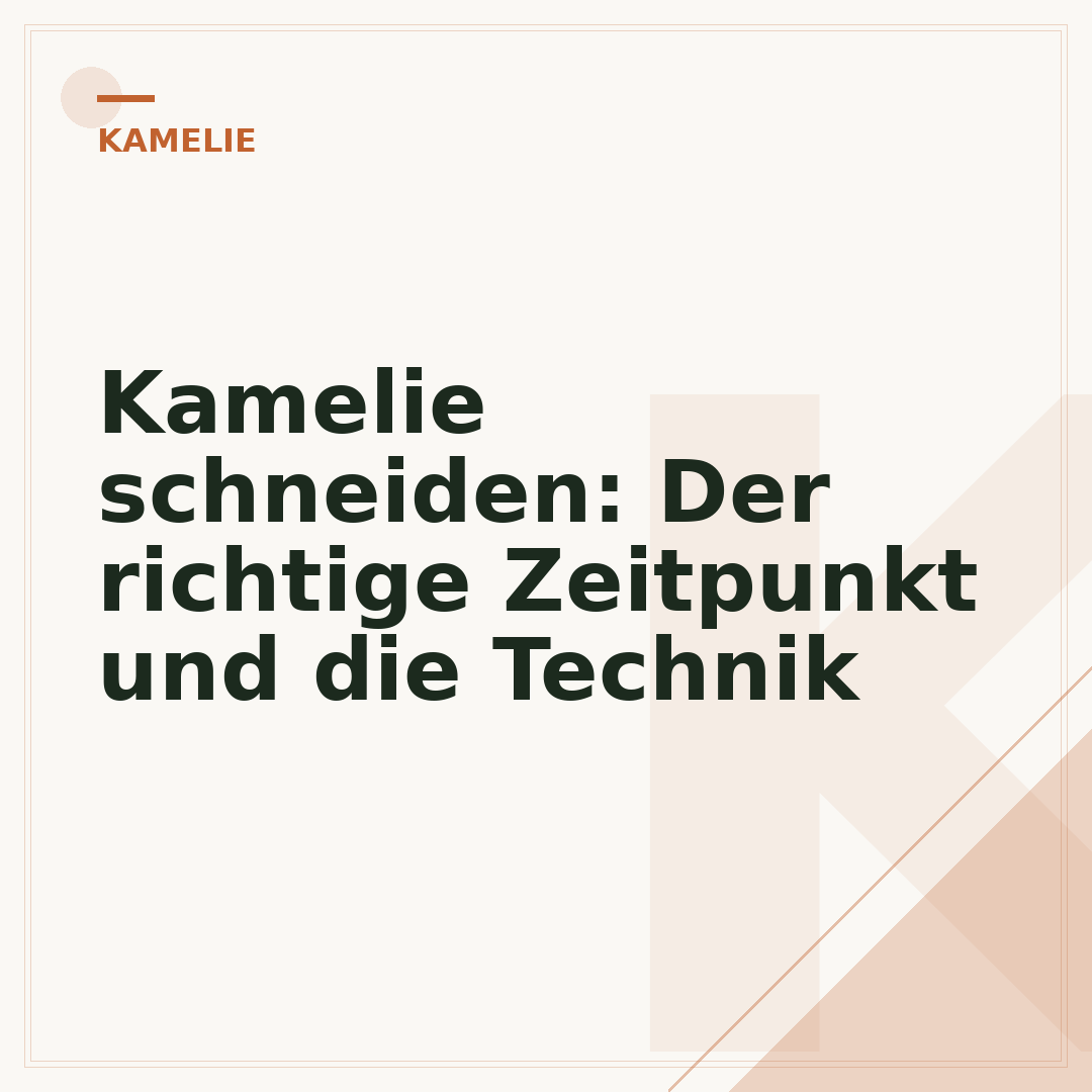 Kamelie schneiden: Der richtige Zeitpunkt und die Technik