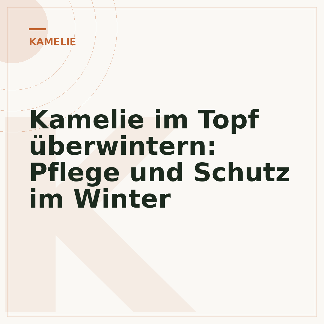 Kamelie im Topf überwintern: Pflege und Schutz im Winter
