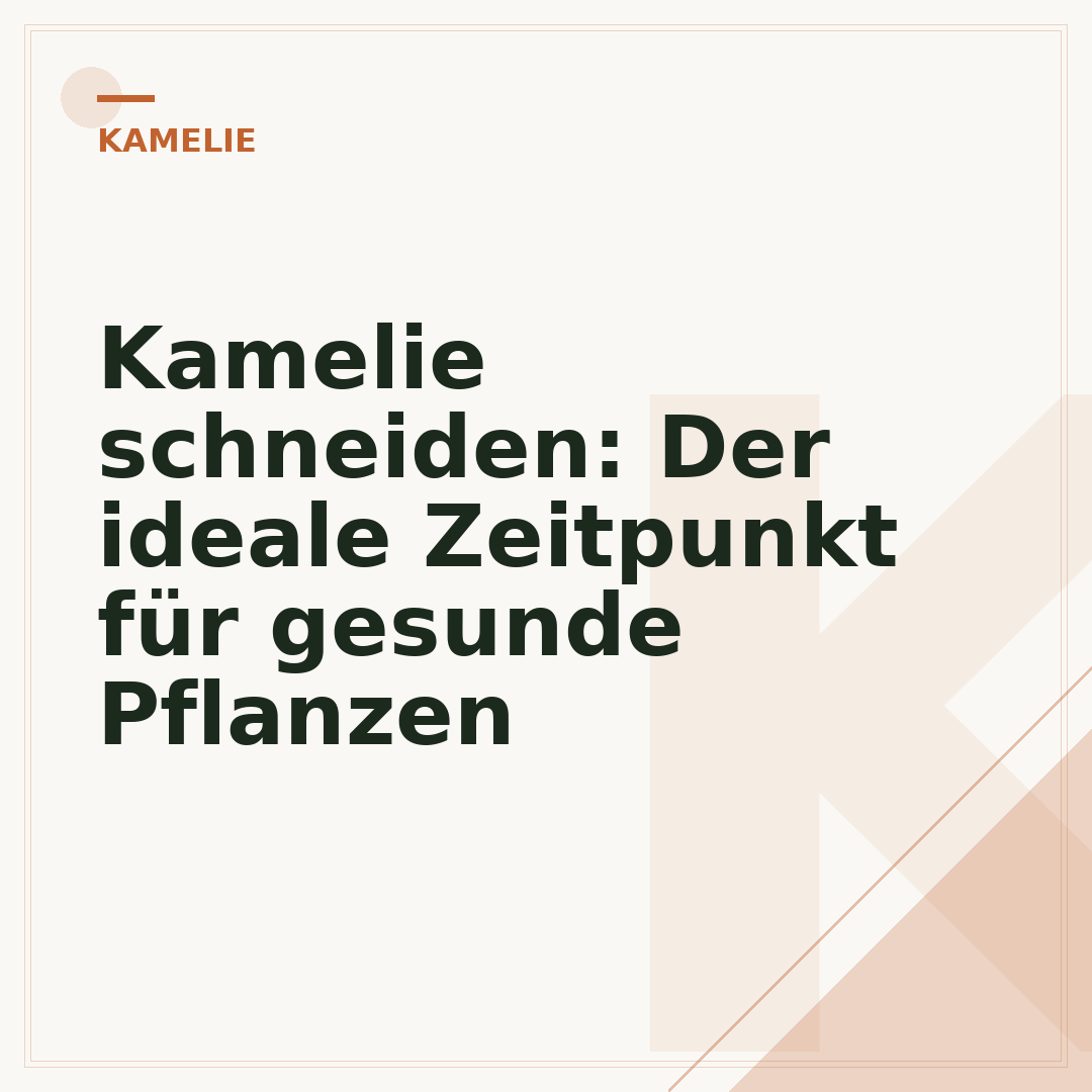 Kamelie schneiden: Der ideale Zeitpunkt für gesunde Pflanzen