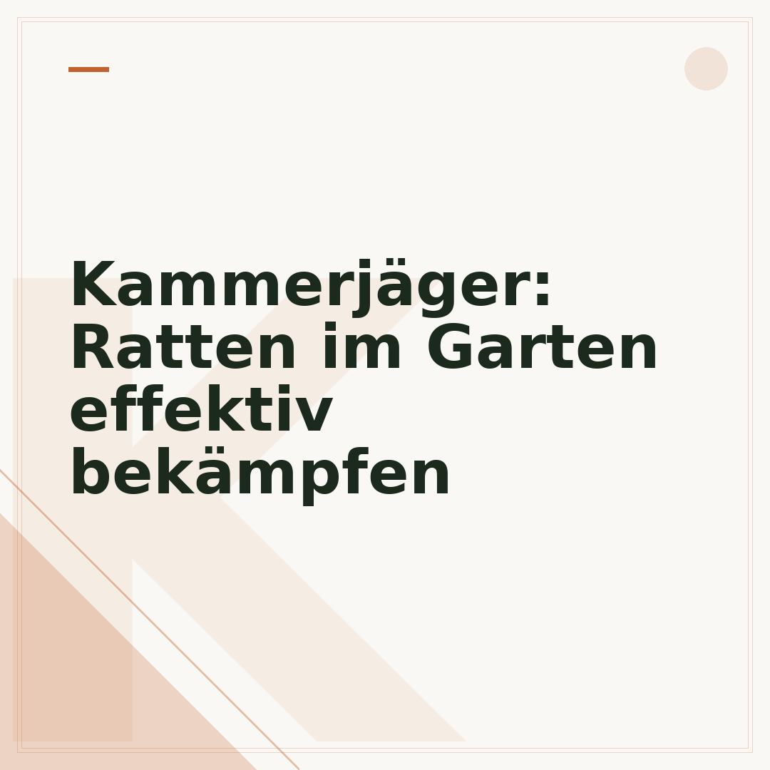 Kammerjäger: Ratten im Garten effektiv bekämpfen