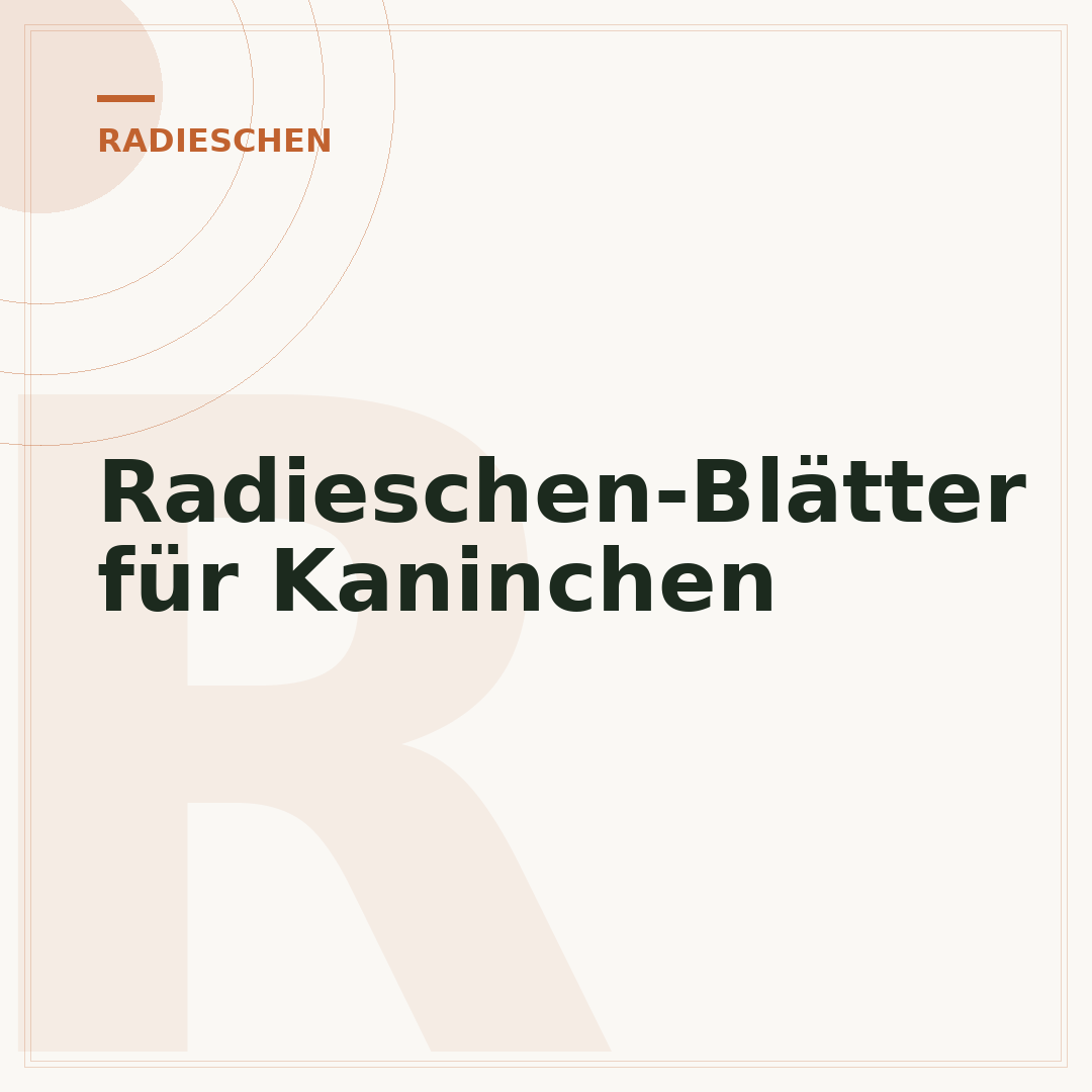 Radieschen-Blätter für Kaninchen