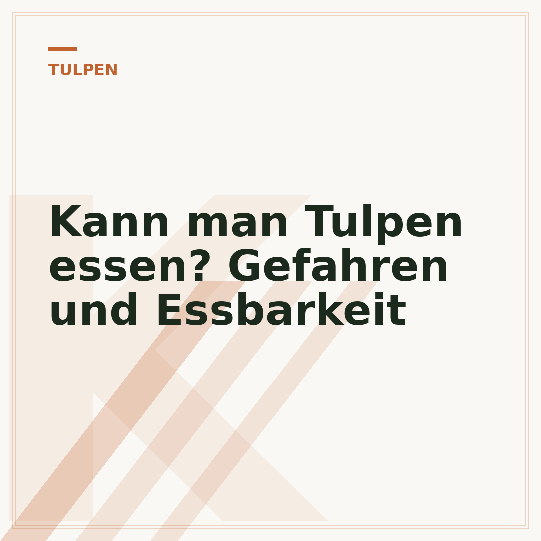 Kann man Tulpen essen? Gefahren und Essbarkeit