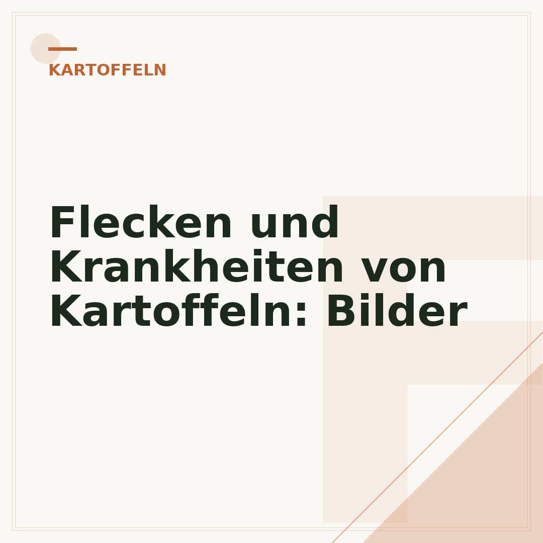 Flecken und Krankheiten von Kartoffeln: Bilder