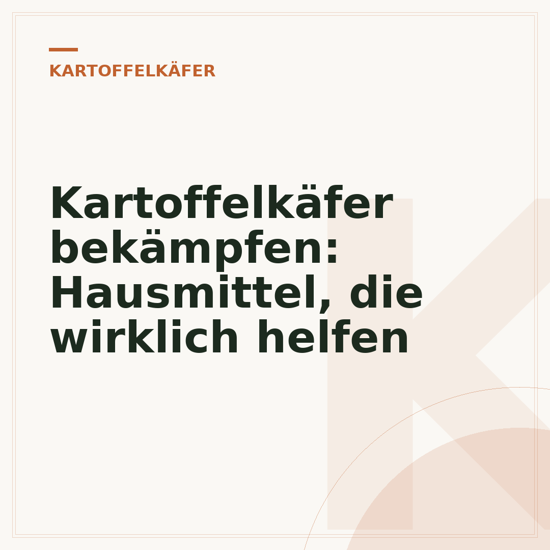 Kartoffelkäfer bekämpfen: Hausmittel, die wirklich helfen