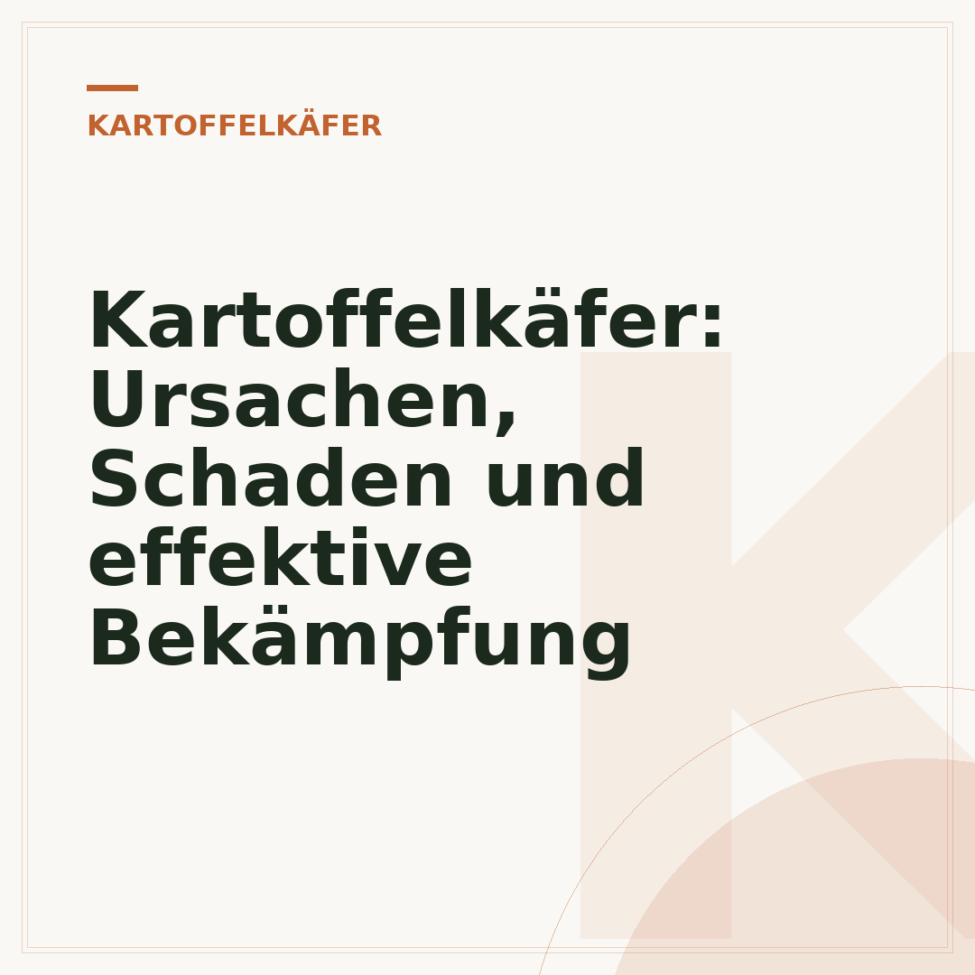Kartoffelkäfer: Ursachen, Schaden und effektive Bekämpfung
