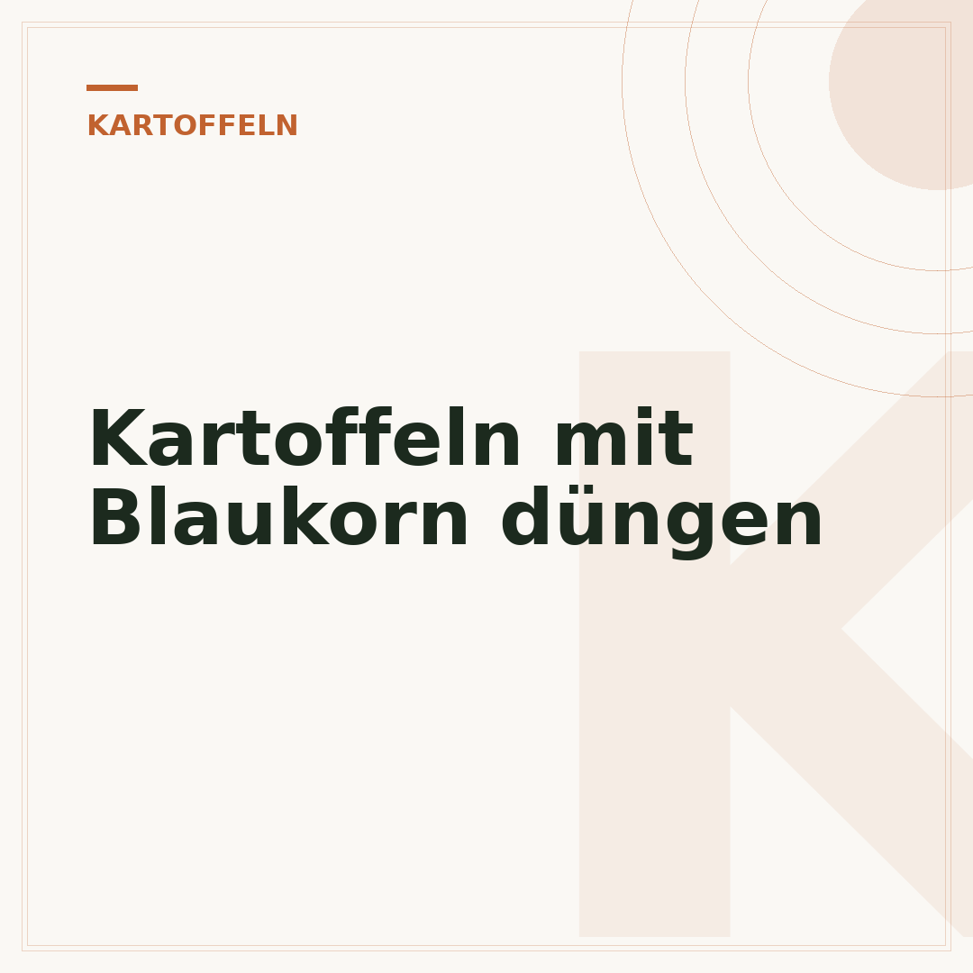 Kartoffeln mit Blaukorn düngen