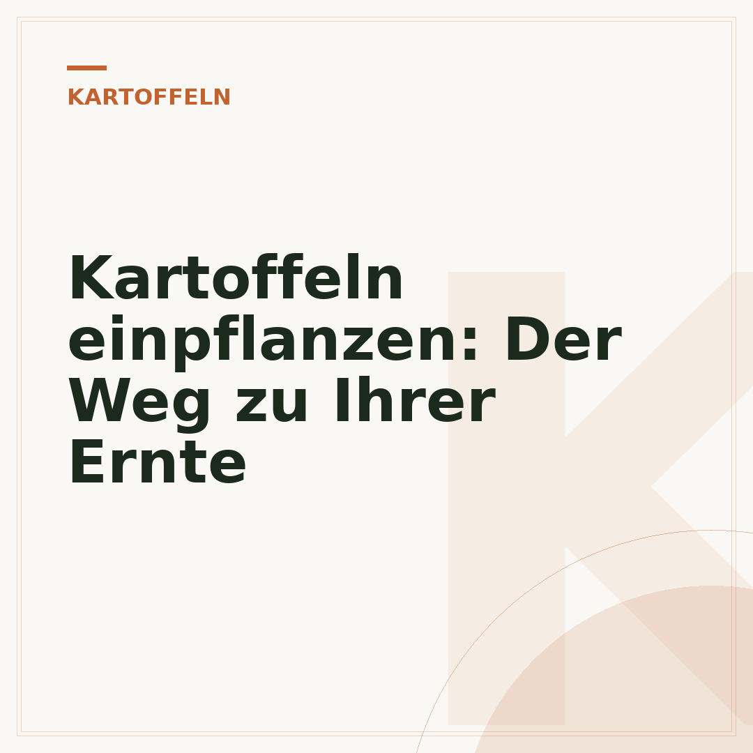 Kartoffeln einpflanzen: Der Weg zu Ihrer Ernte