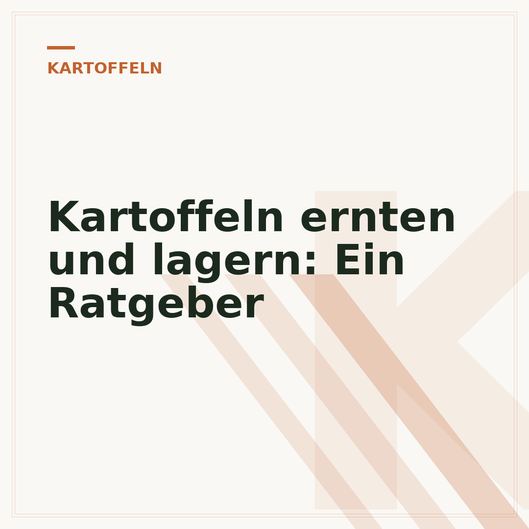 Kartoffeln ernten und lagern: Ein Ratgeber