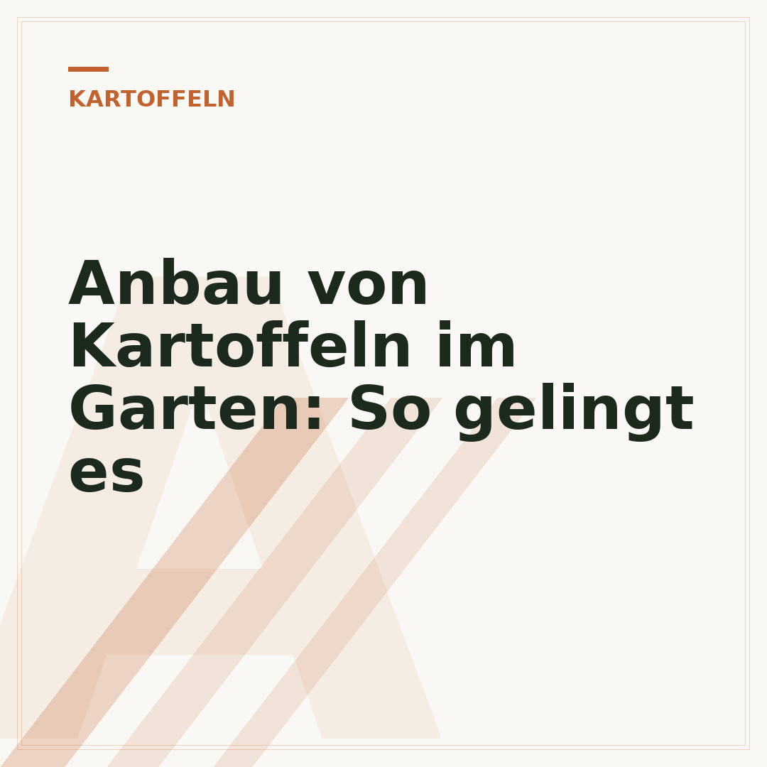 Anbau von Kartoffeln im Garten: So gelingt es