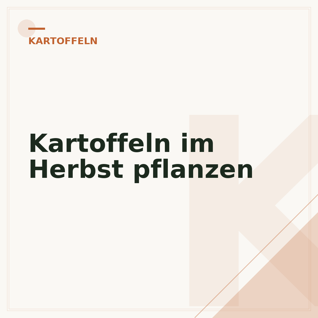 Kartoffeln im Herbst pflanzen