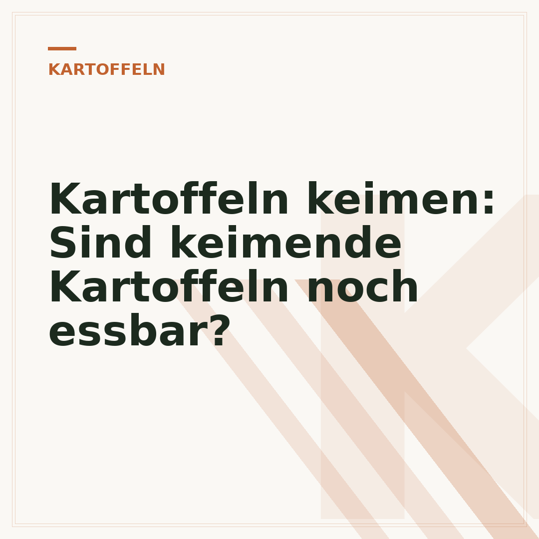 Kartoffeln keimen: Sind keimende Kartoffeln noch essbar?