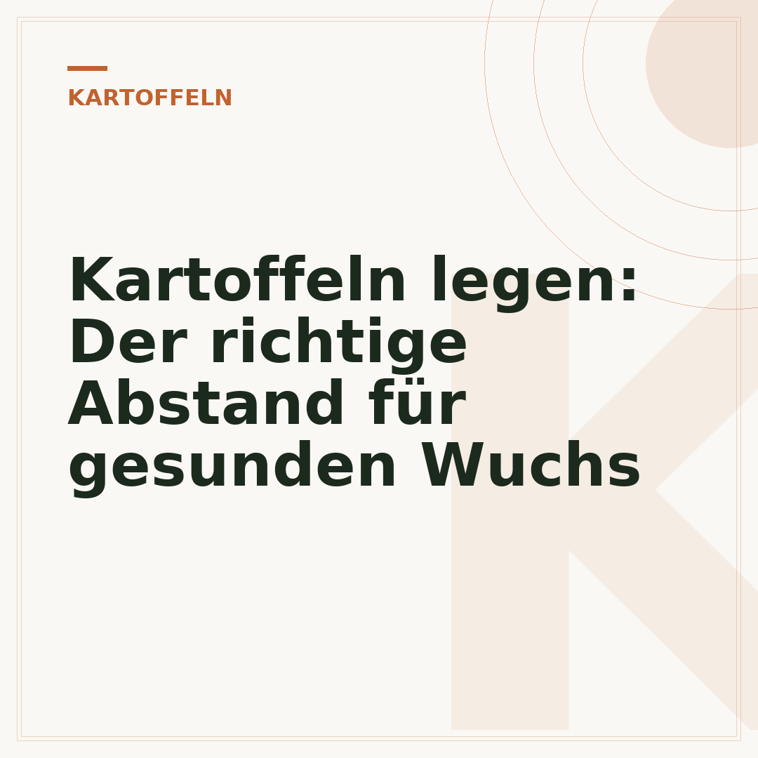 Kartoffeln legen: Der richtige Abstand für gesunden Wuchs