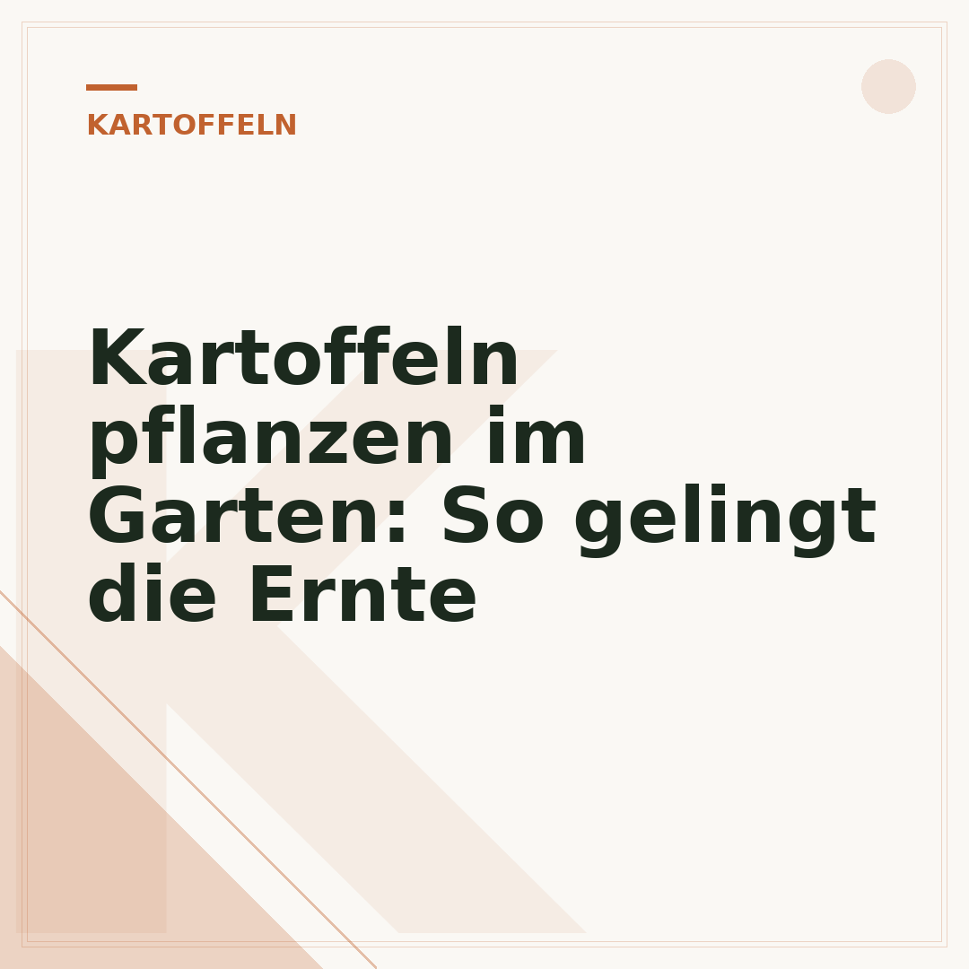 Kartoffeln pflanzen im Garten: So gelingt die Ernte