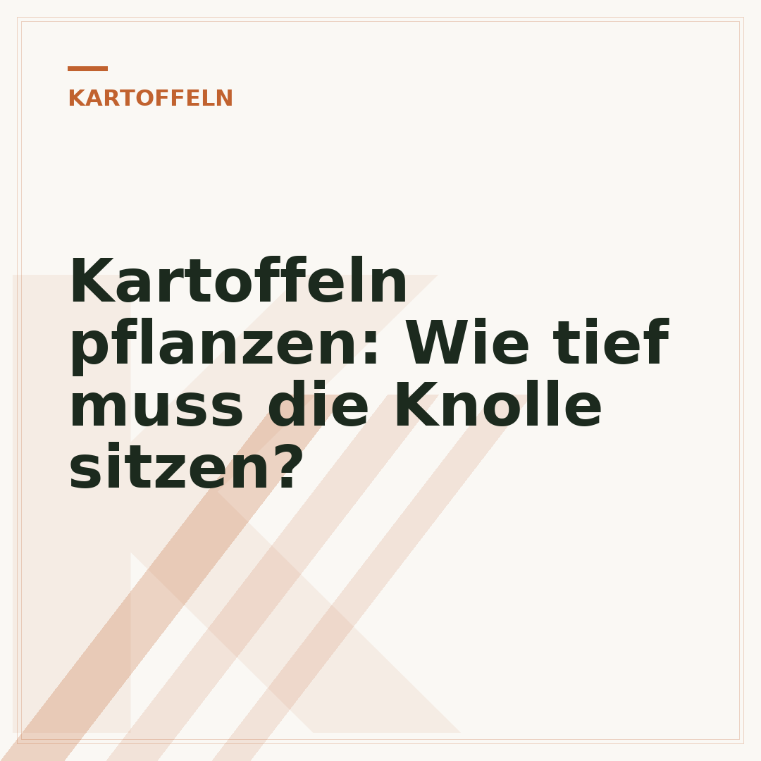 Kartoffeln pflanzen: Wie tief muss die Knolle sitzen?