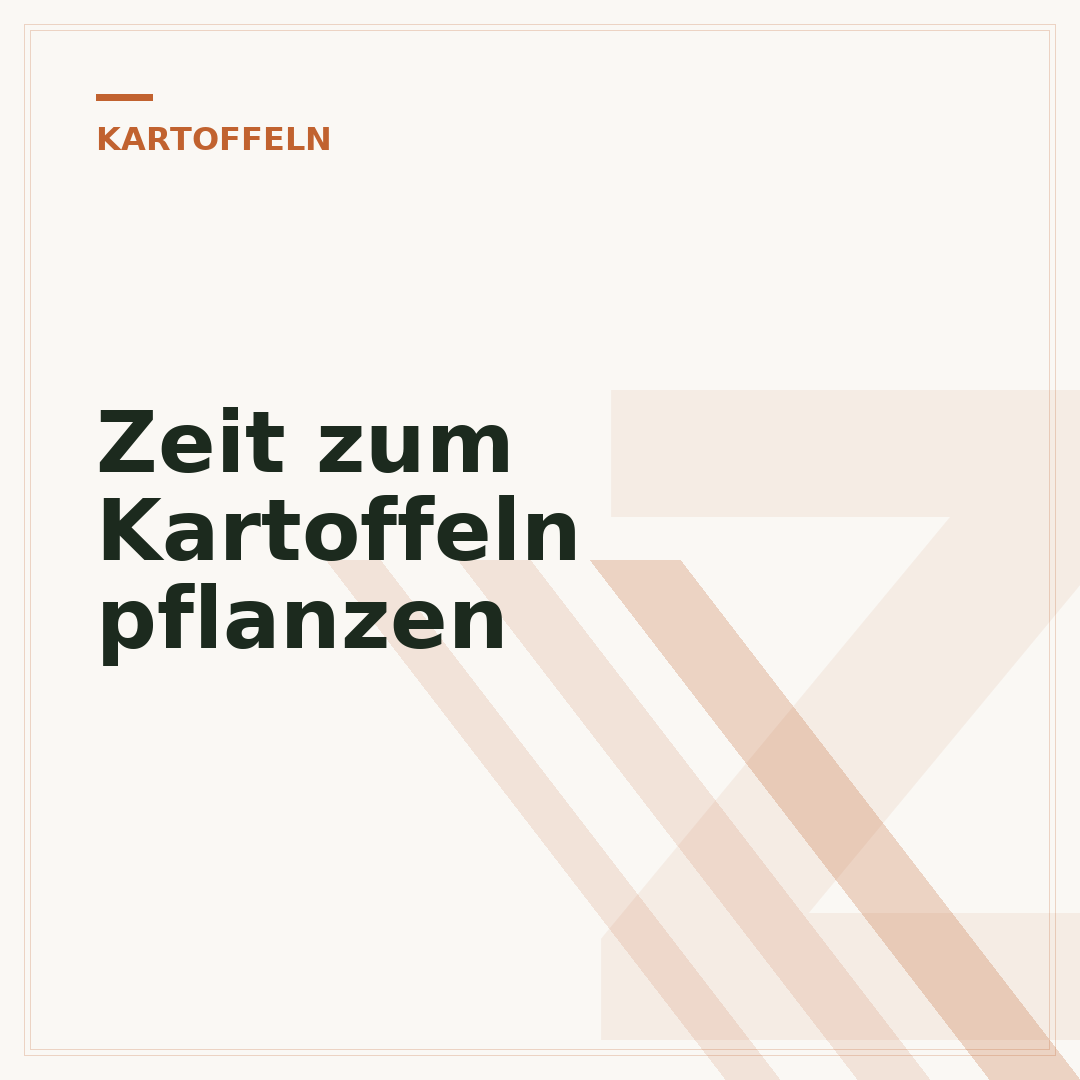 Zeit zum Kartoffeln pflanzen