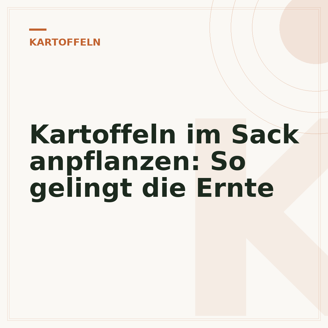 Kartoffeln im Sack anpflanzen: So gelingt die Ernte