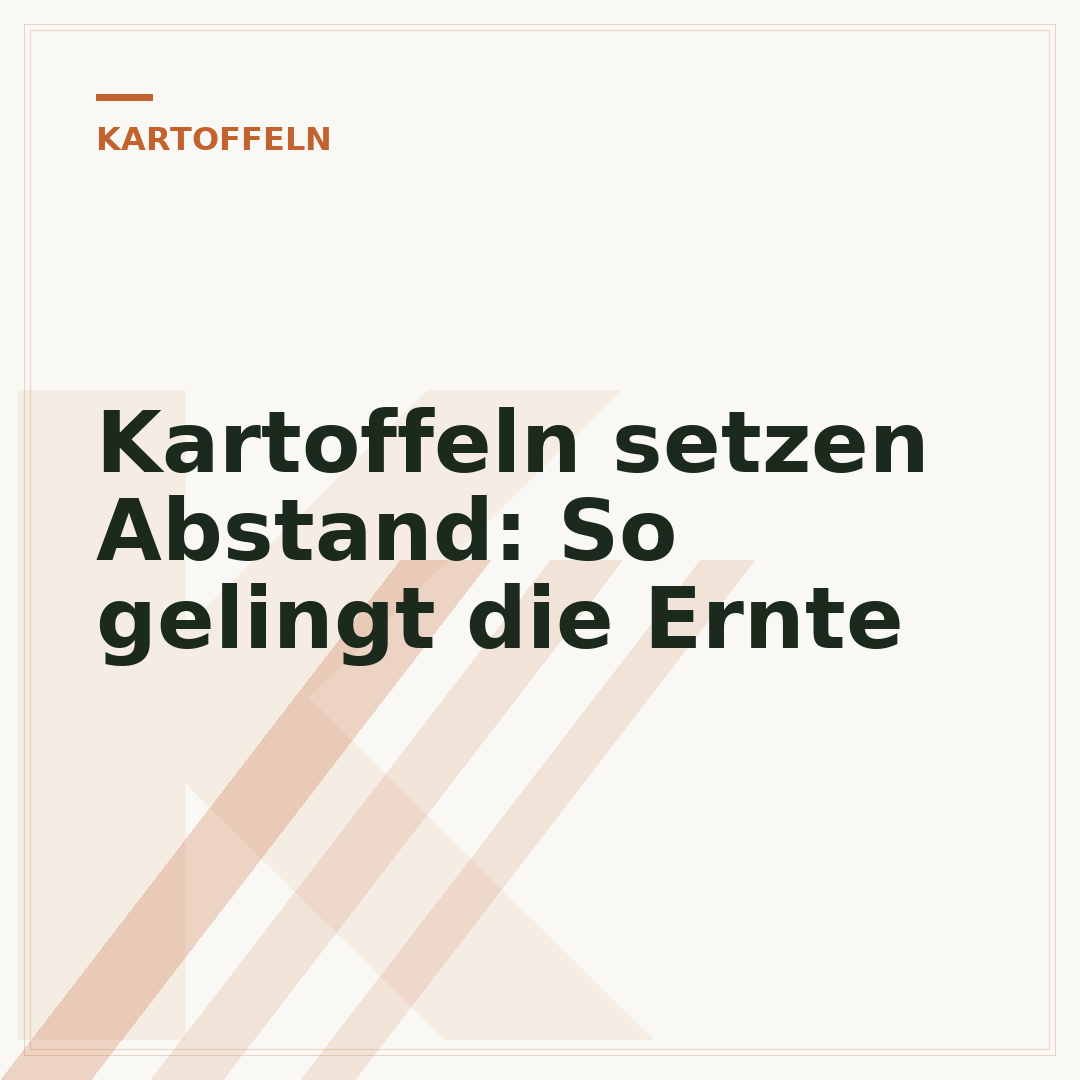 Kartoffeln setzen Abstand: So gelingt die Ernte