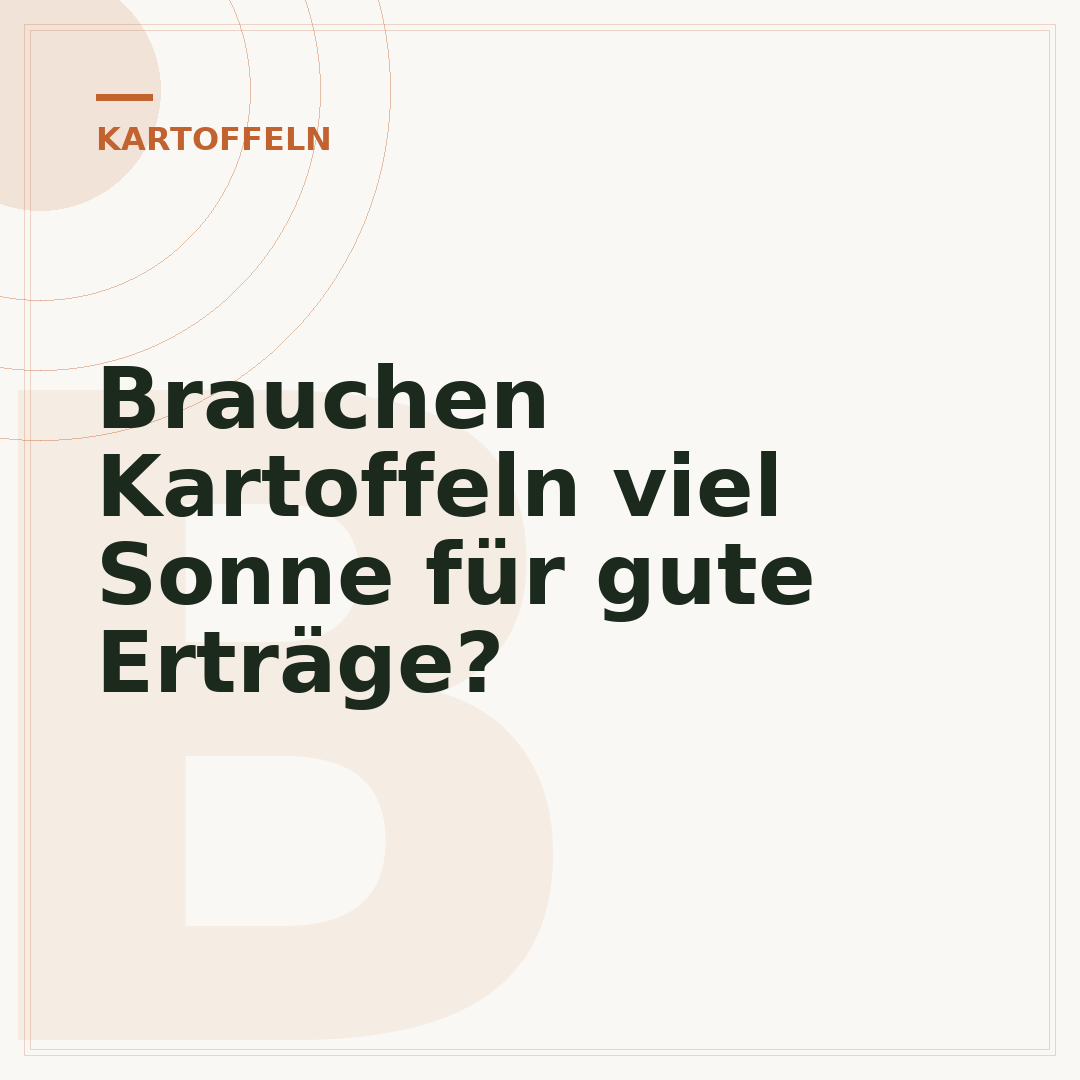 Brauchen Kartoffeln viel Sonne für gute Erträge?