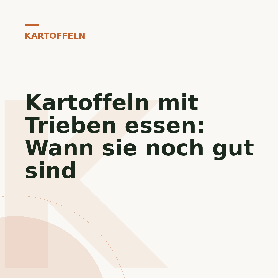 Kartoffeln mit Trieben essen: Wann sie noch gut sind