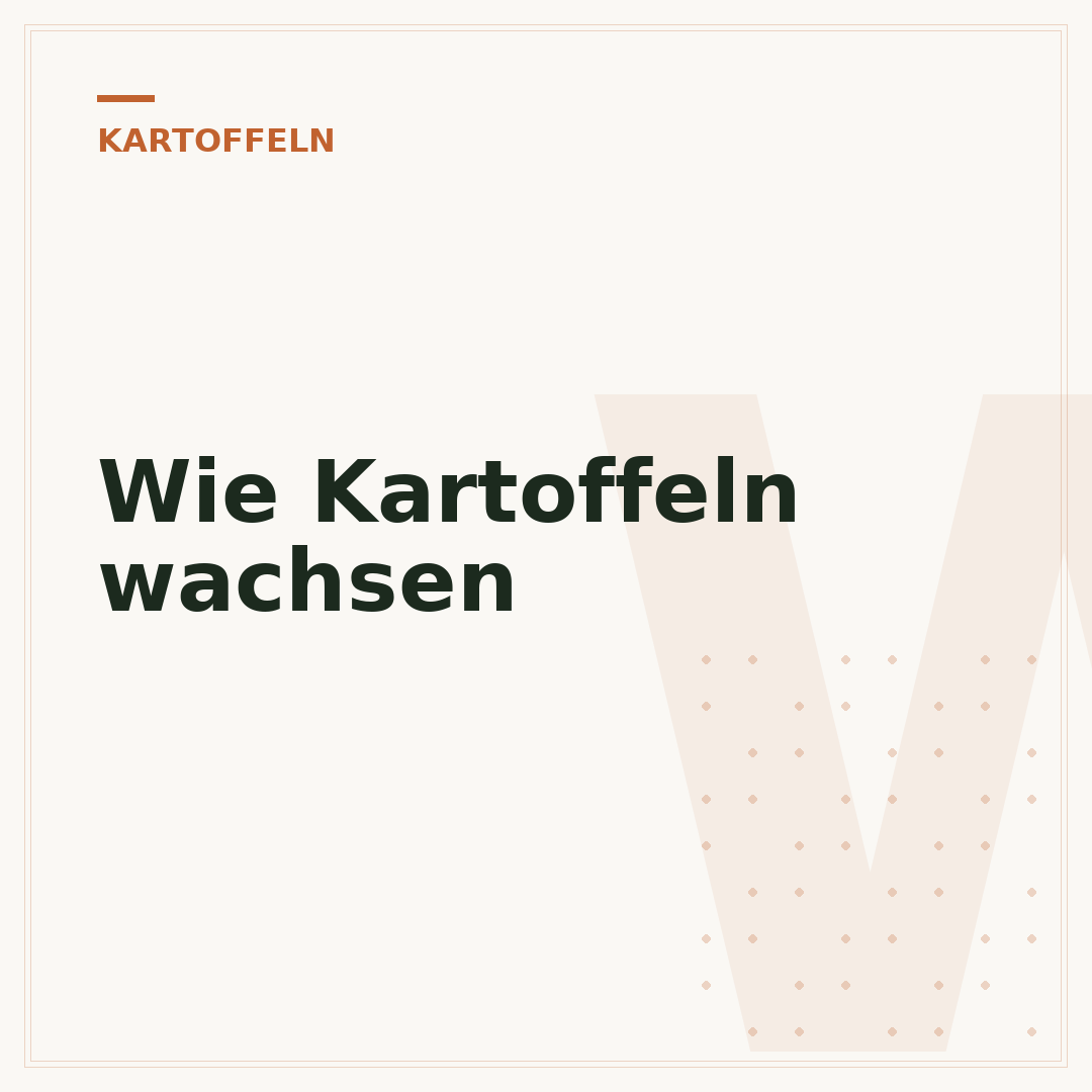 Wie Kartoffeln wachsen