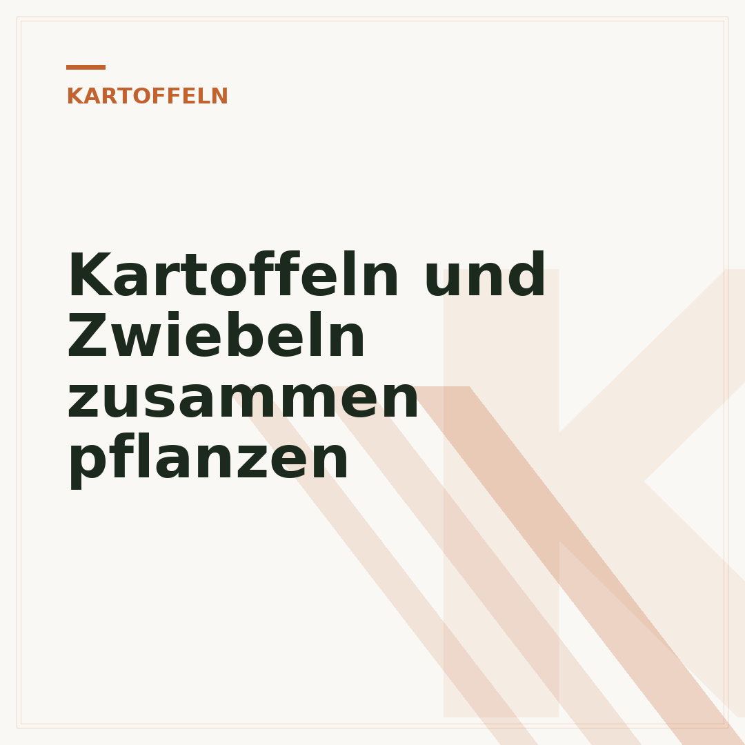 Kartoffeln und Zwiebeln zusammen pflanzen