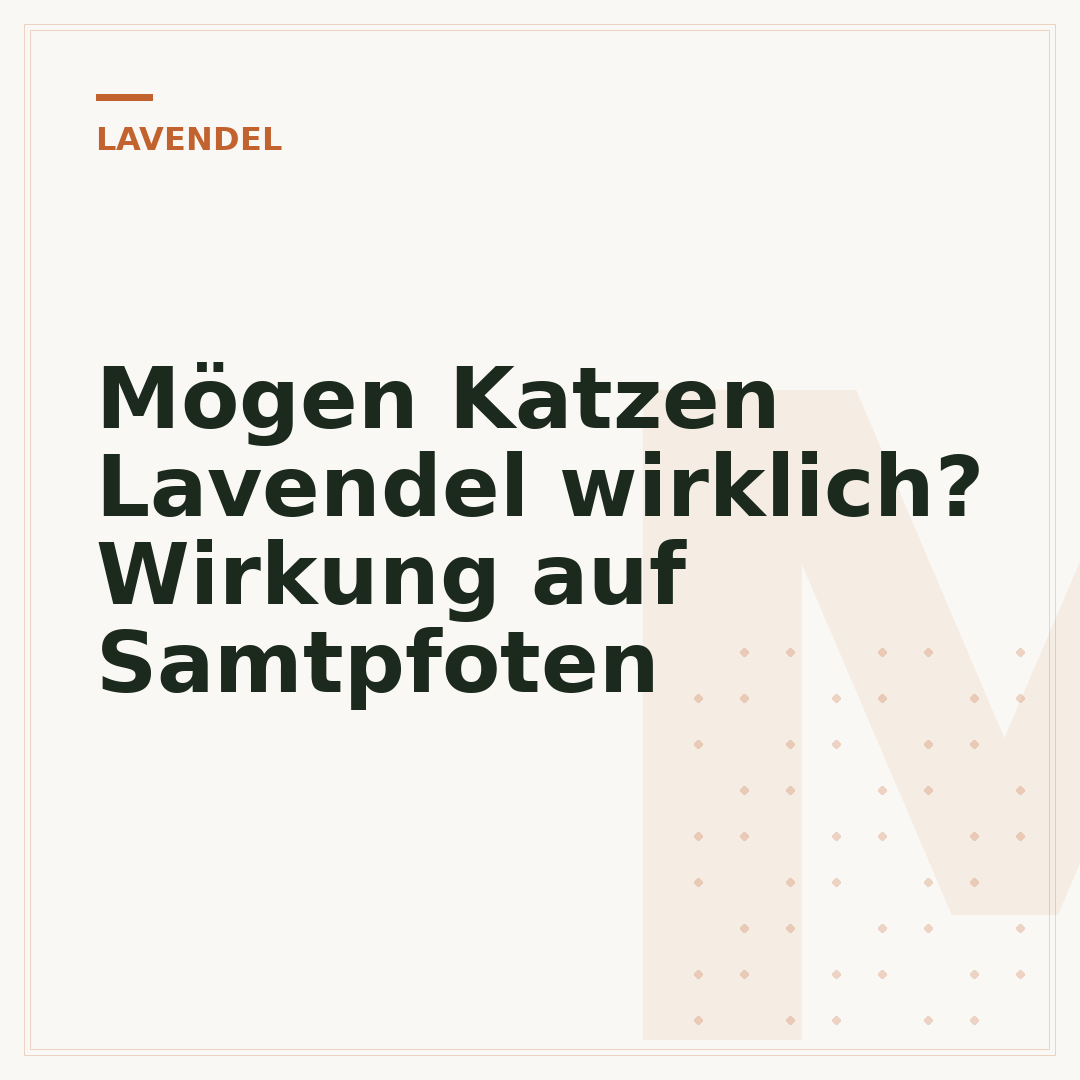 Mögen Katzen Lavendel wirklich? Wirkung auf Samtpfoten