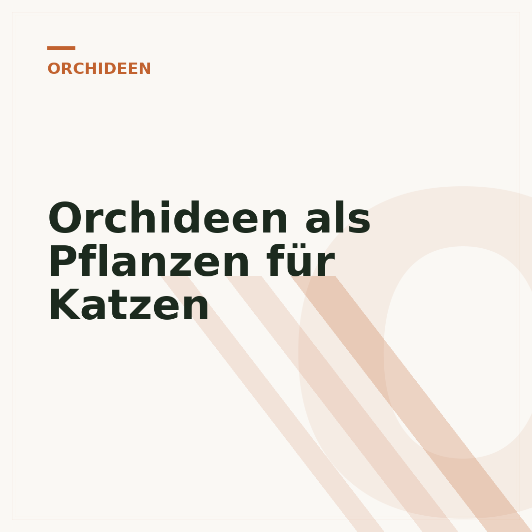 Orchideen als Pflanzen für Katzen