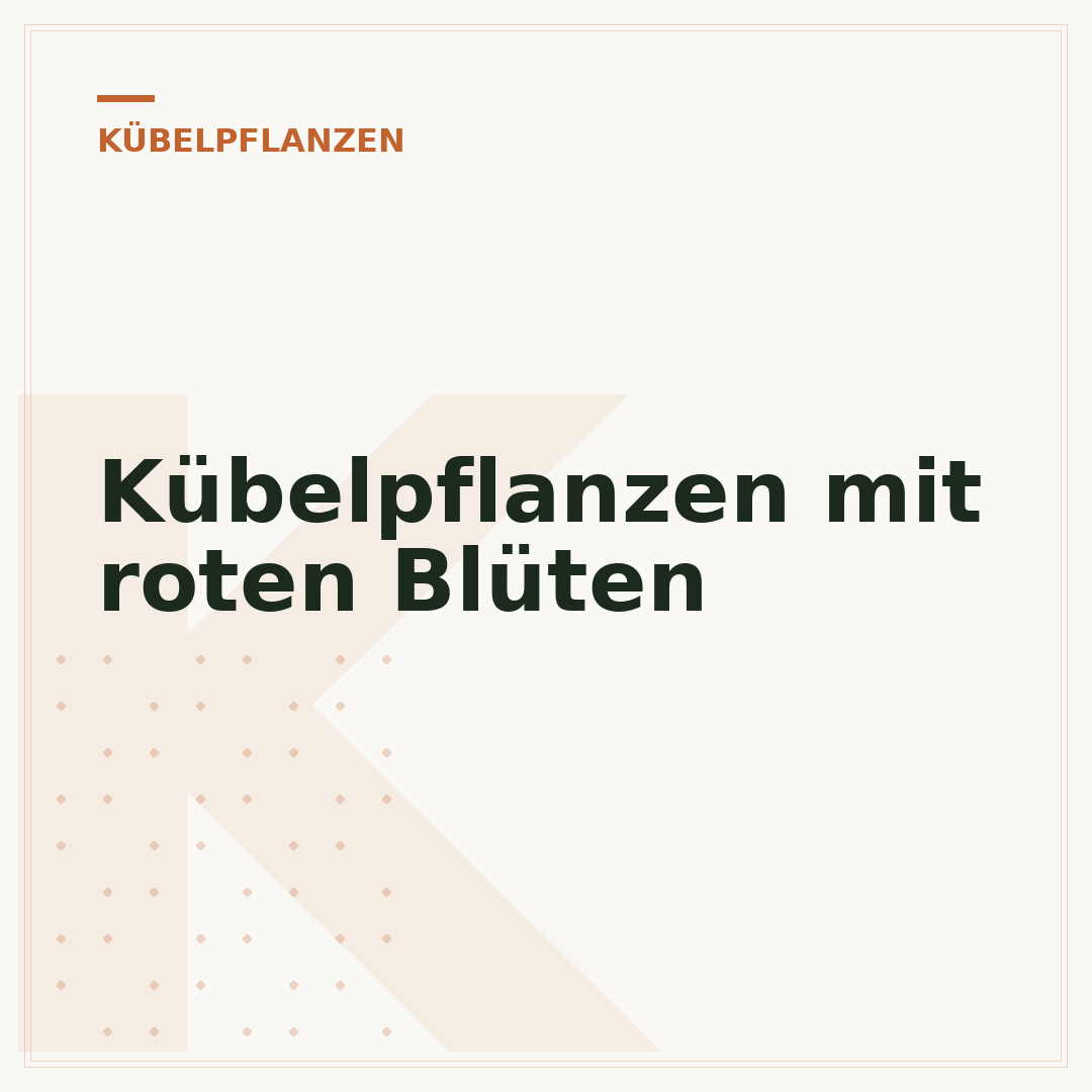Kübelpflanzen mit roten Blüten