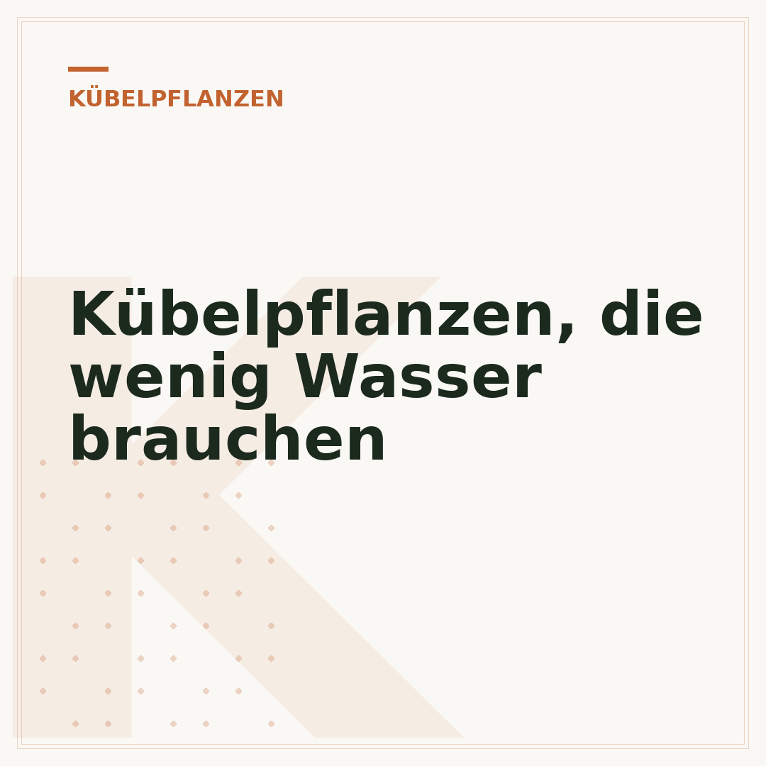 Kübelpflanzen, die wenig Wasser brauchen