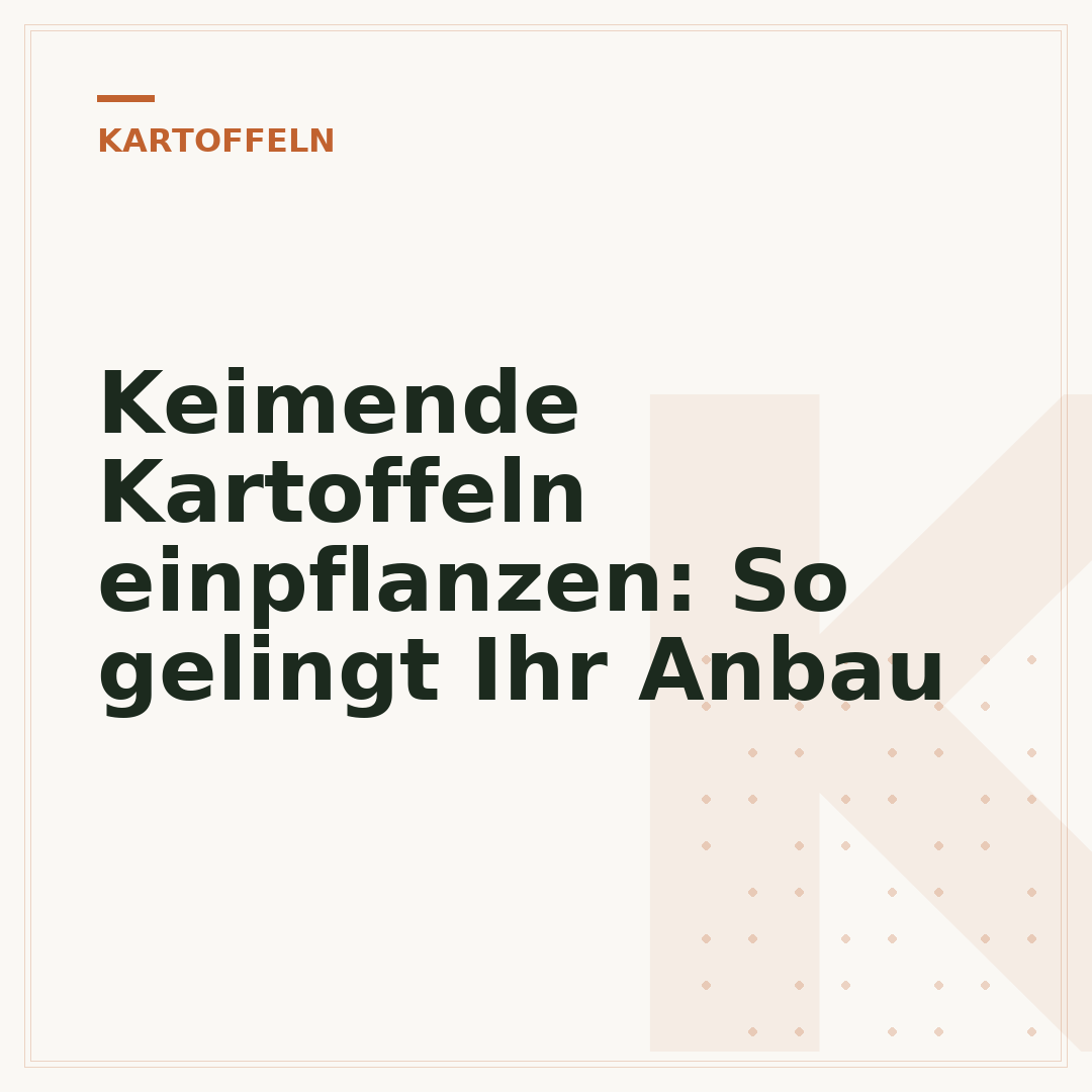 Keimende Kartoffeln einpflanzen: So gelingt Ihr Anbau