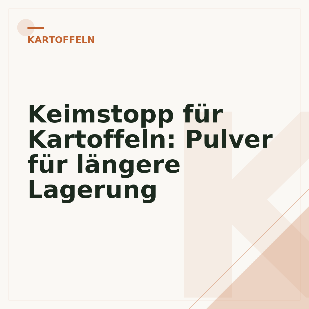 Keimstopp für Kartoffeln: Pulver für längere Lagerung