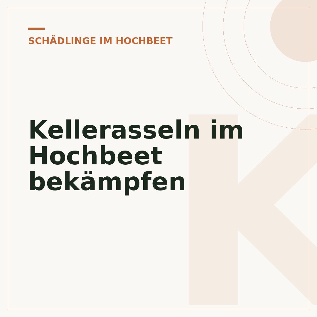 Kellerasseln im Hochbeet bekämpfen