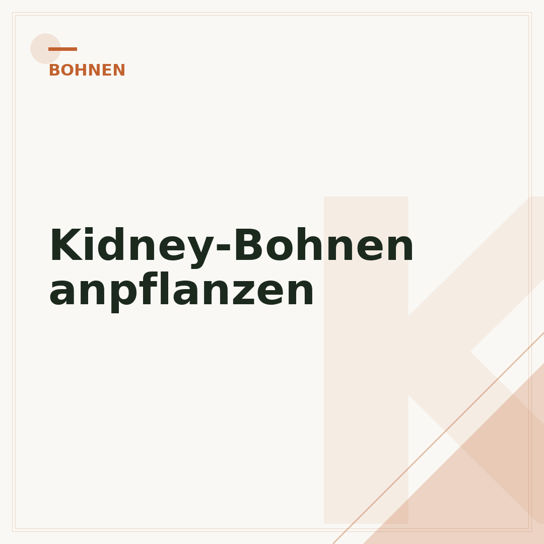 Kidney-Bohnen anpflanzen