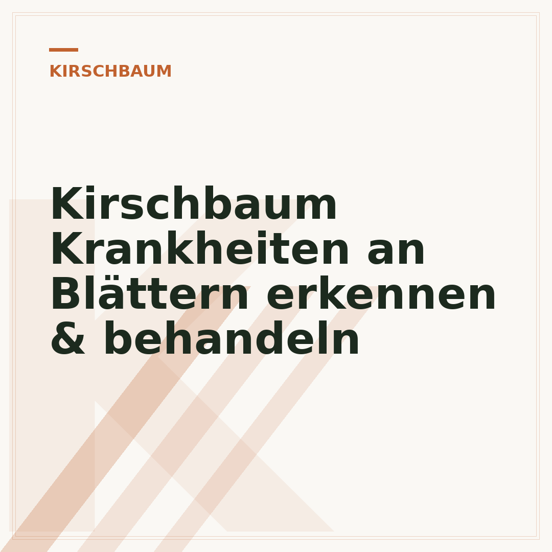 Kirschbaum Krankheiten an Blättern erkennen & behandeln