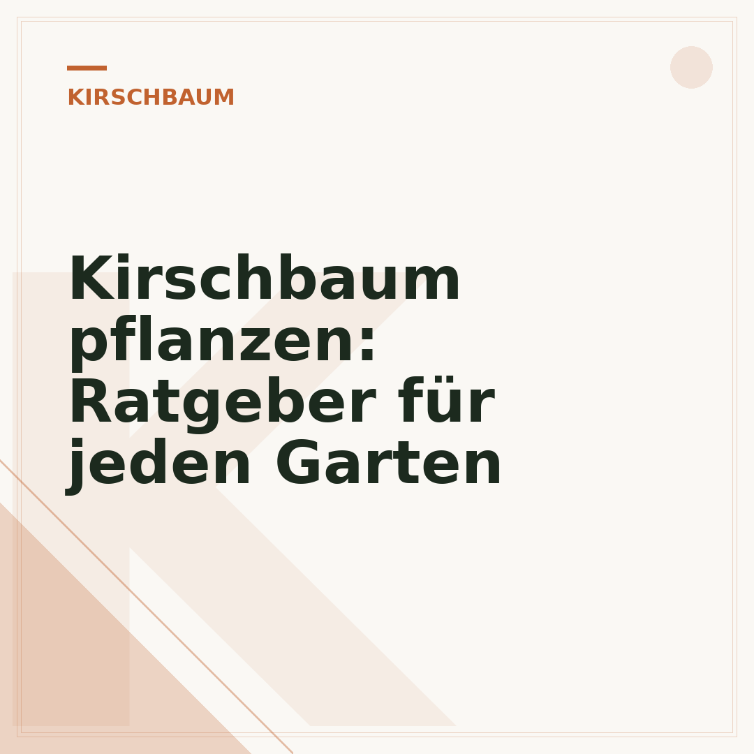 Kirschbaum pflanzen: Ratgeber für jeden Garten
