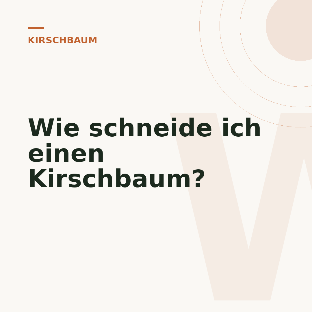 Wie schneide ich einen Kirschbaum?