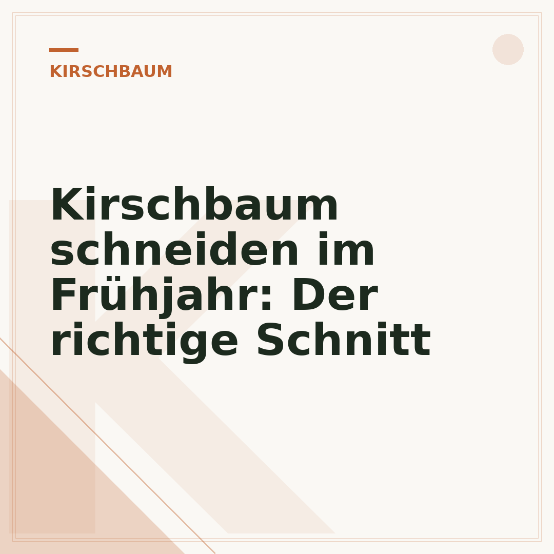 Kirschbaum schneiden im Frühjahr: Der richtige Schnitt