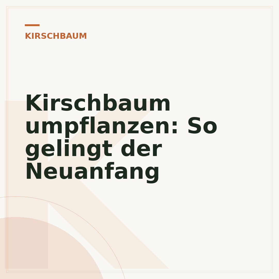 Kirschbaum umpflanzen: So gelingt der Neuanfang