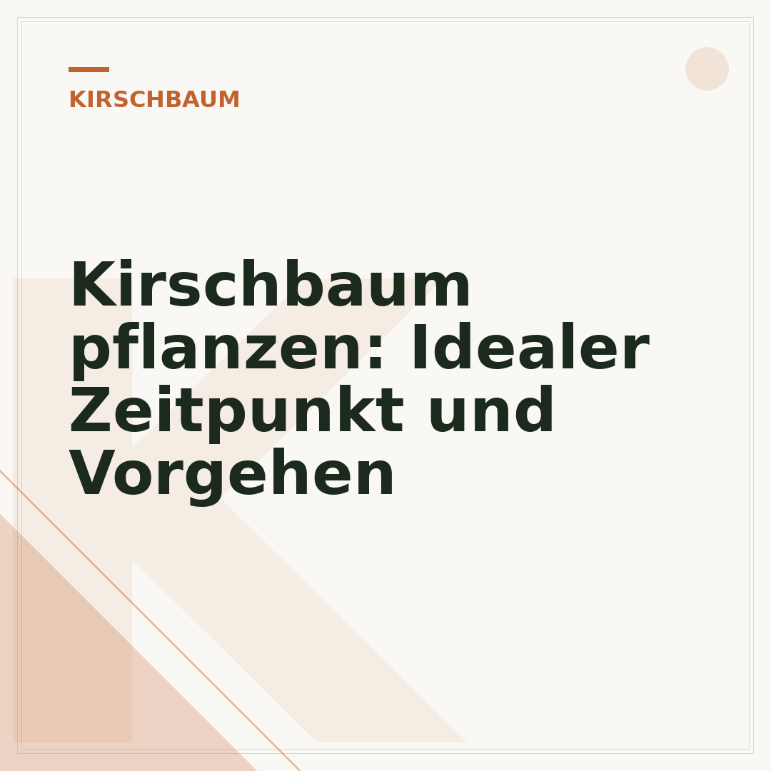 Kirschbaum pflanzen: Idealer Zeitpunkt und Vorgehen