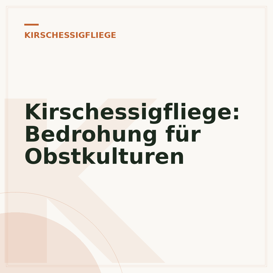 Kirschessigfliege: Bedrohung für Obstkulturen
