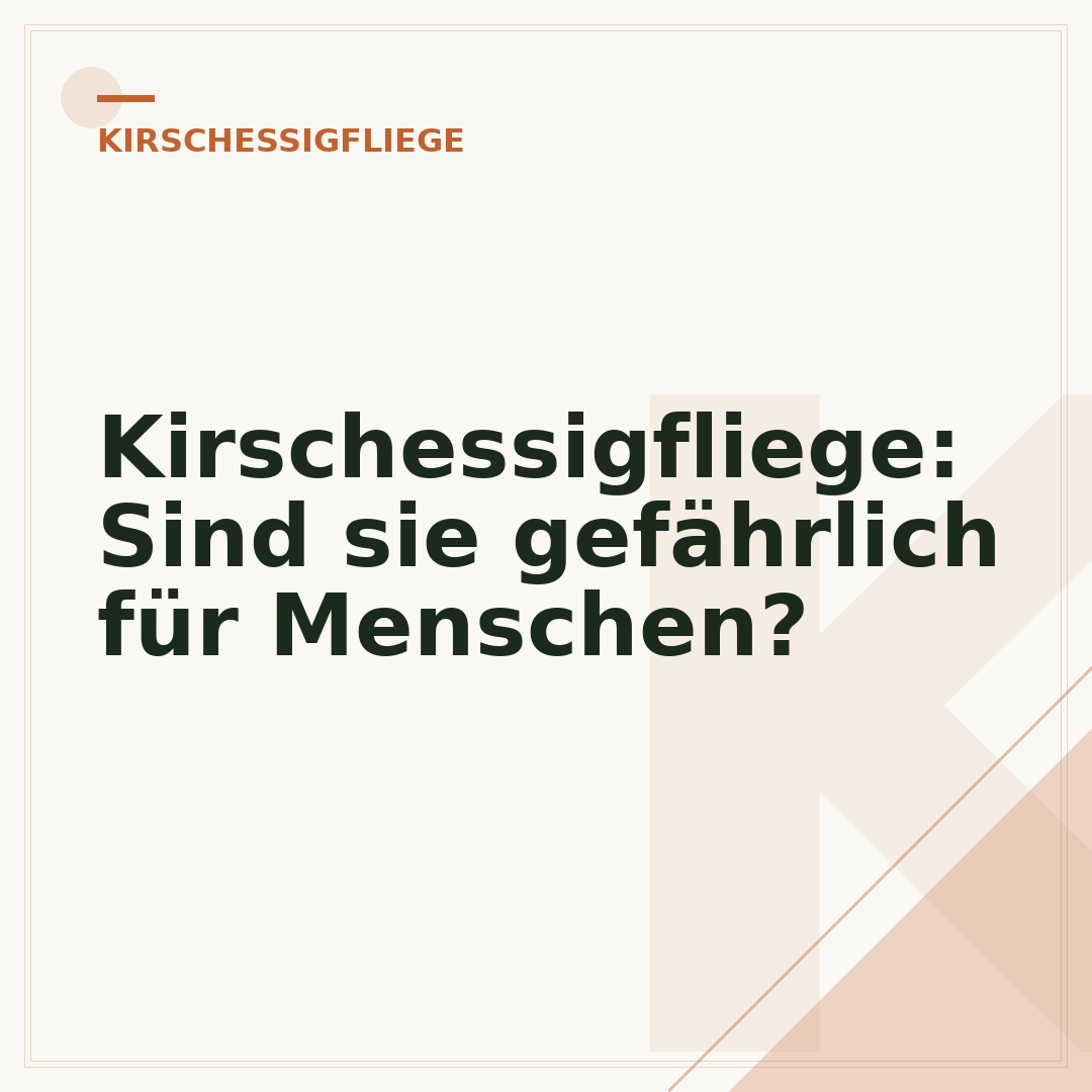 Kirschessigfliege: Sind sie gefährlich für Menschen?