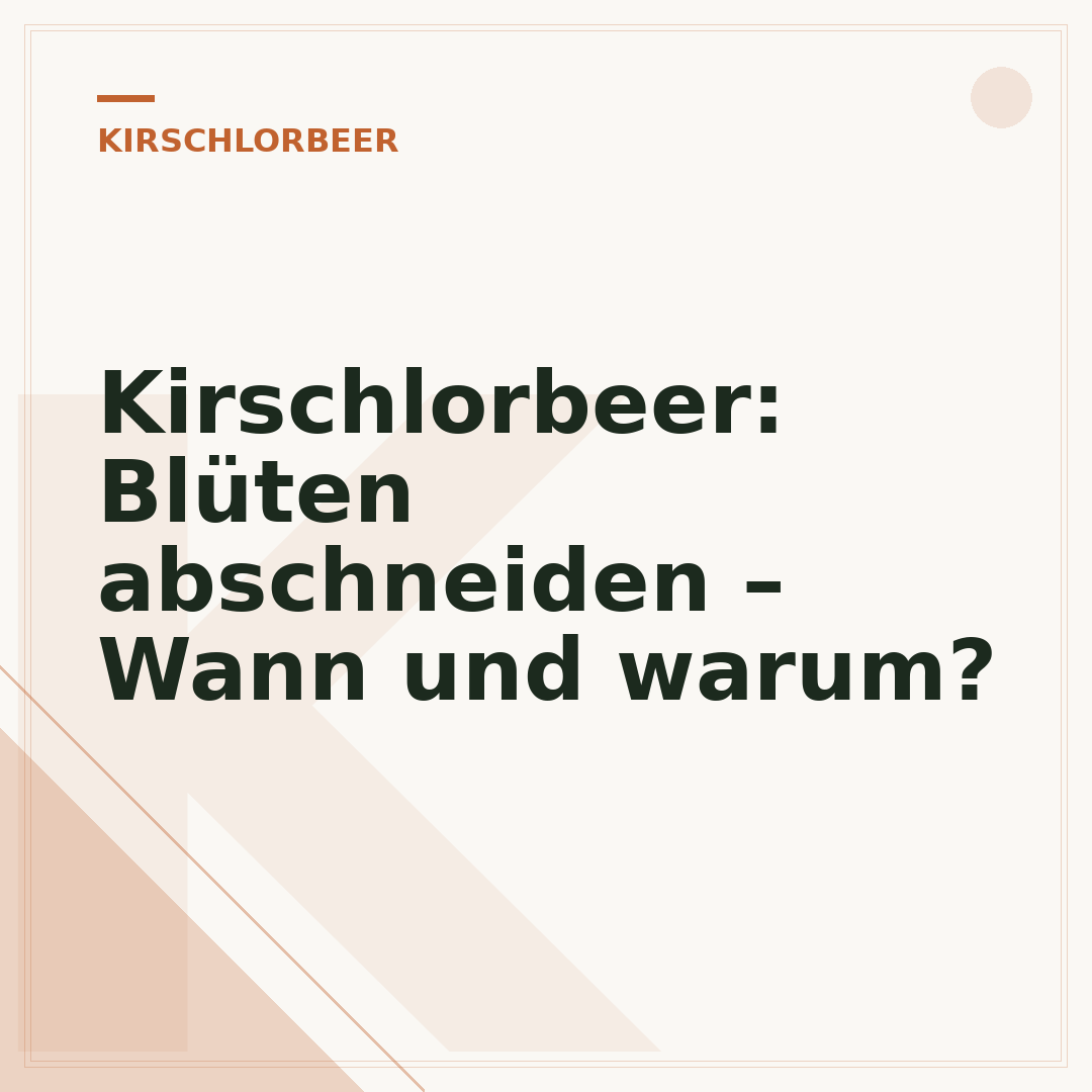 Kirschlorbeer: Blüten abschneiden – Wann und warum?