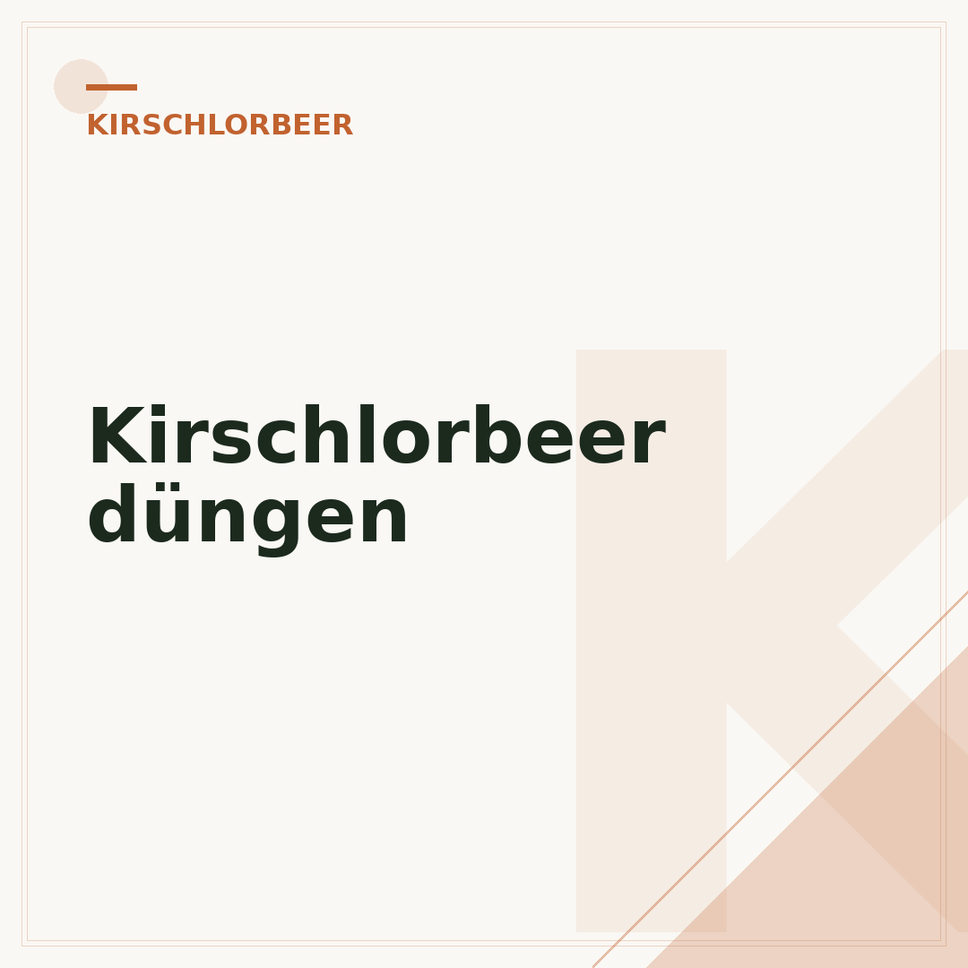 Kirschlorbeer düngen