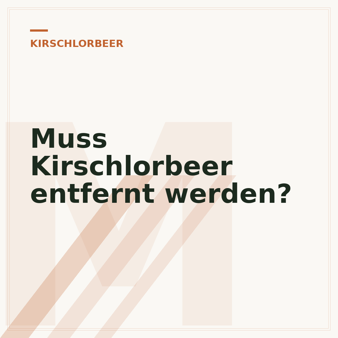Muss Kirschlorbeer entfernt werden?