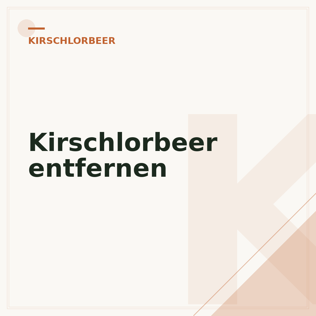Kirschlorbeer entfernen